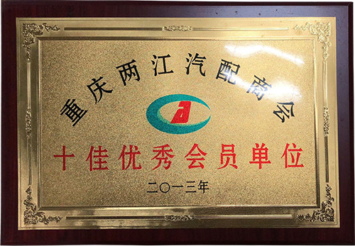 十佳優(yōu)秀會(huì)員單位